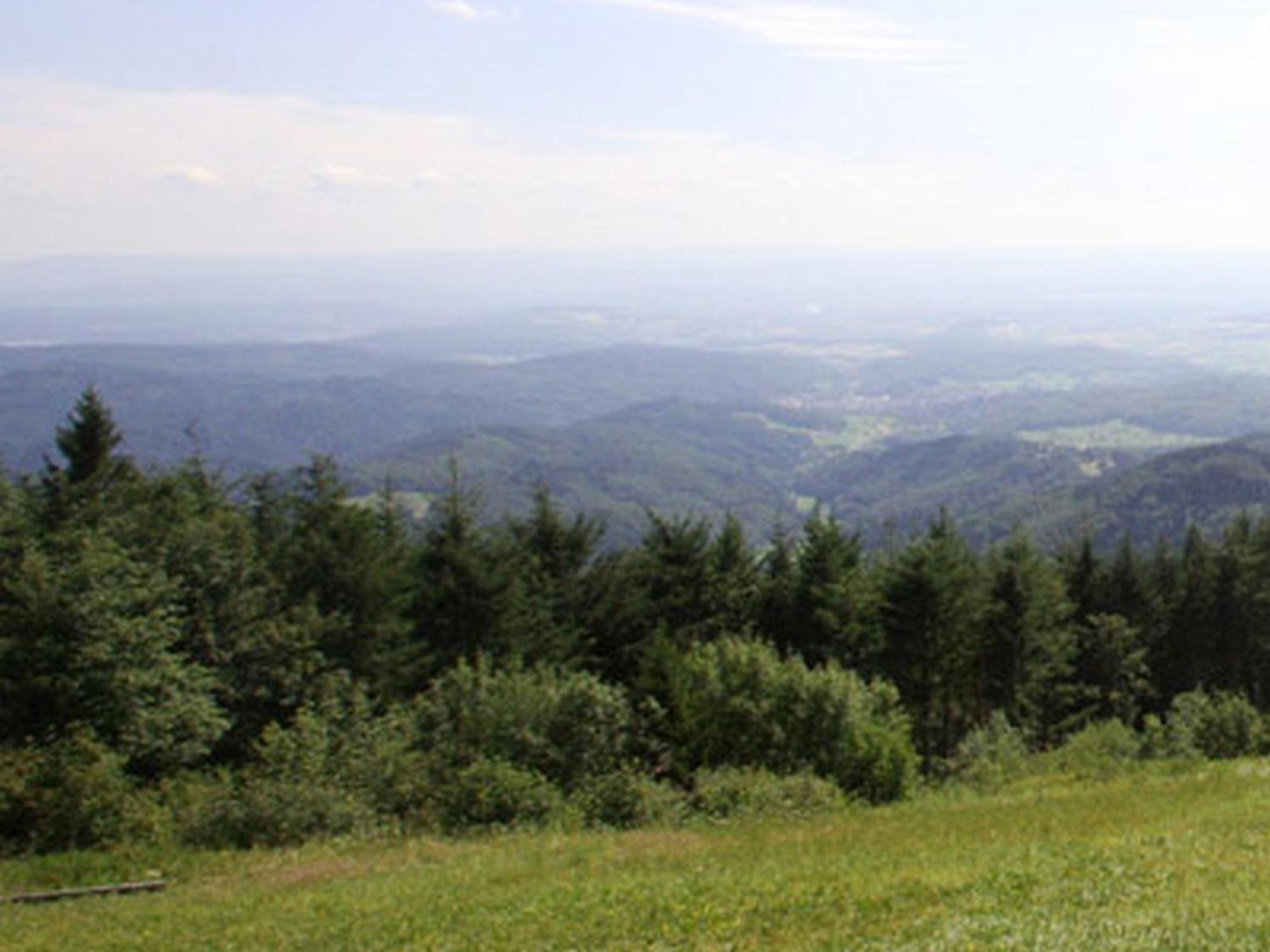 Haus Burgblick Apartment Badenweiler Luaran gambar